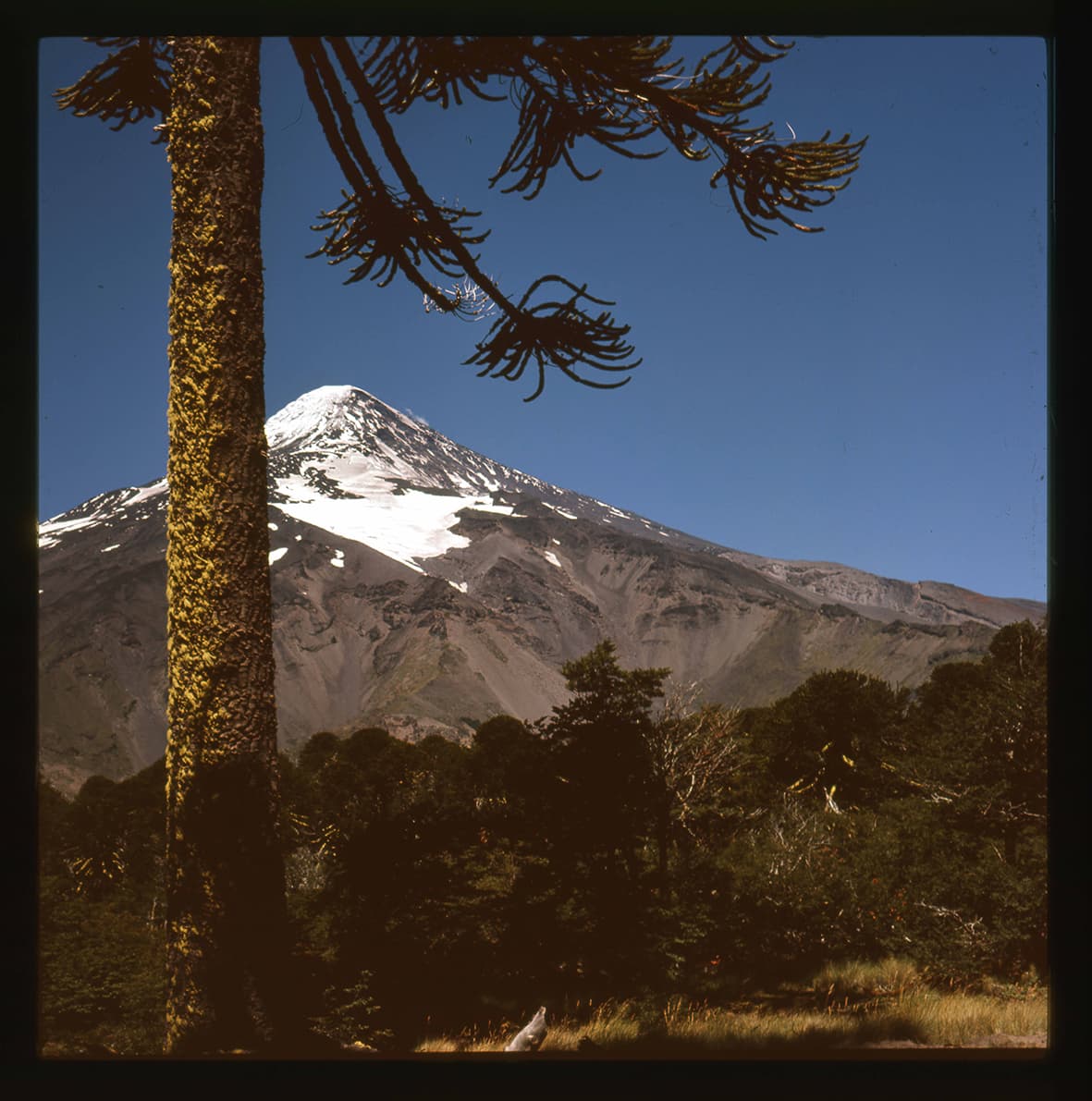 Volcán Llaima, Región de La Araucanía, Chile, 1950 - 1965