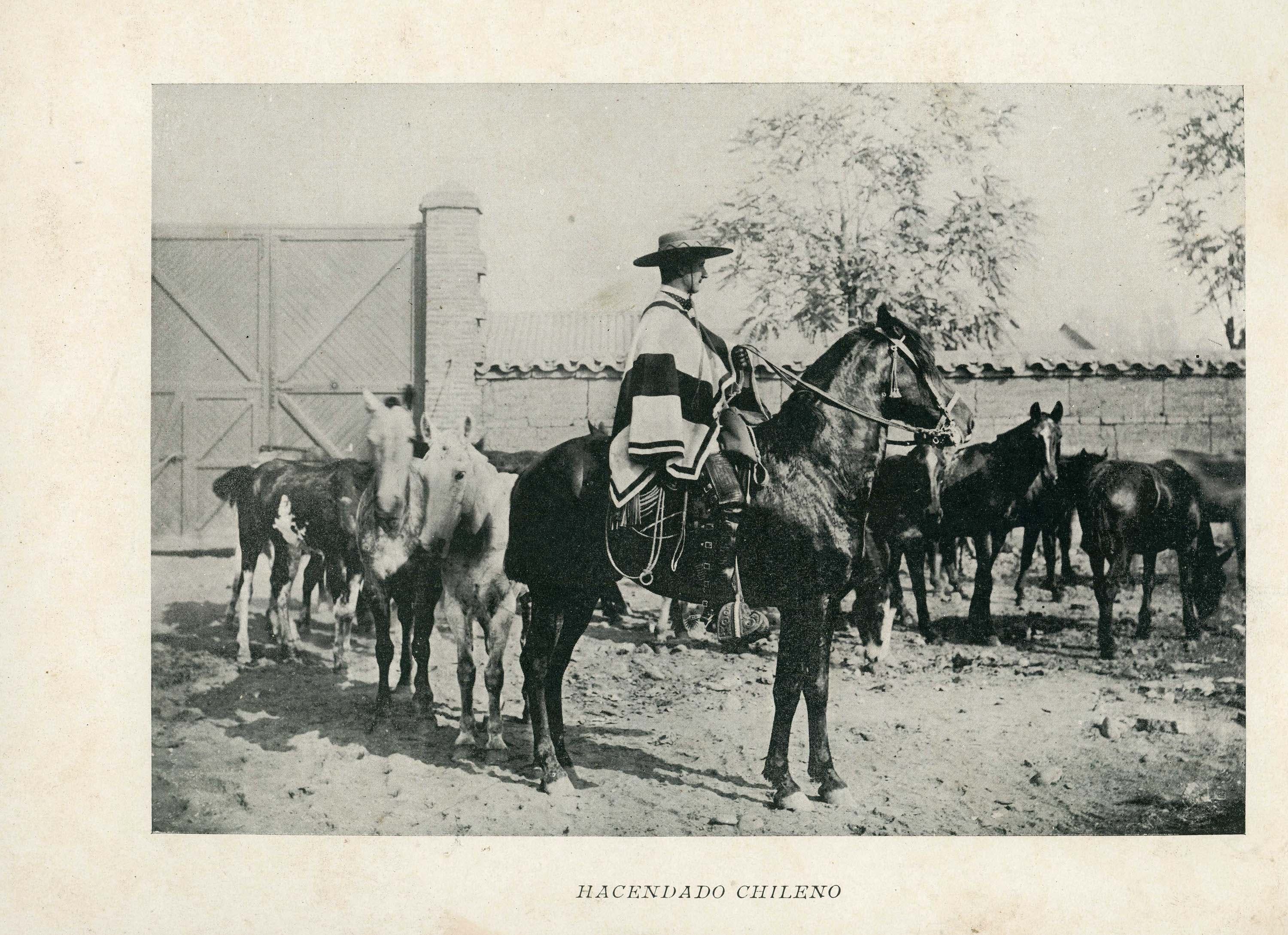 Hacendado Chileno, 1890
