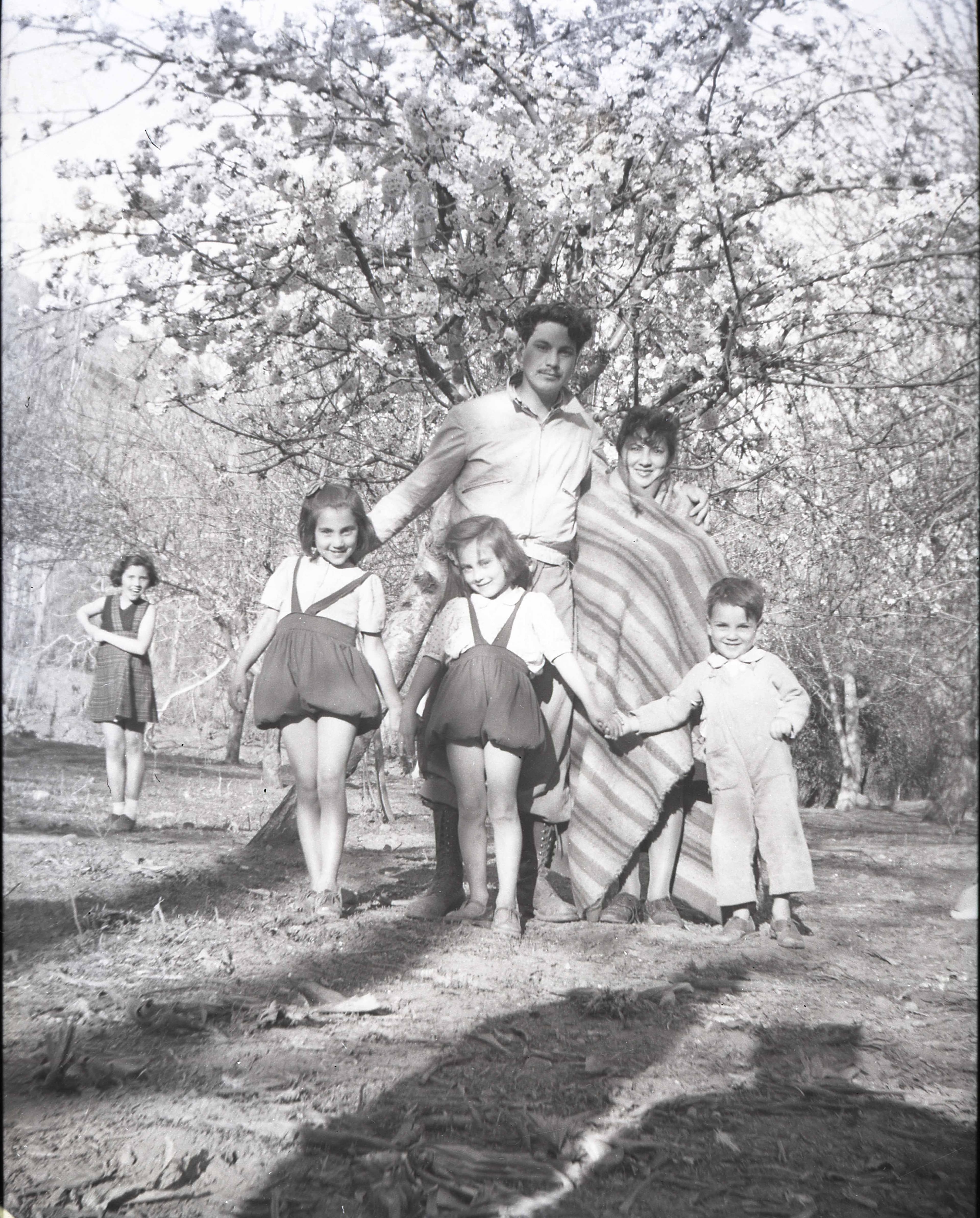 Retrato familiar en campo de ciruelos, 1920