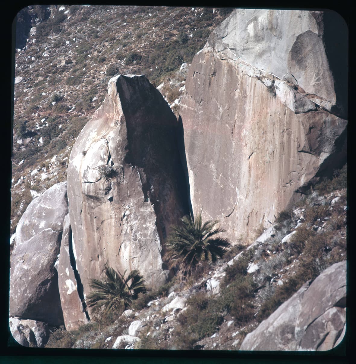 Quebrada Alvarado, Región de Valparaíso, Chile, 1950 - 1965