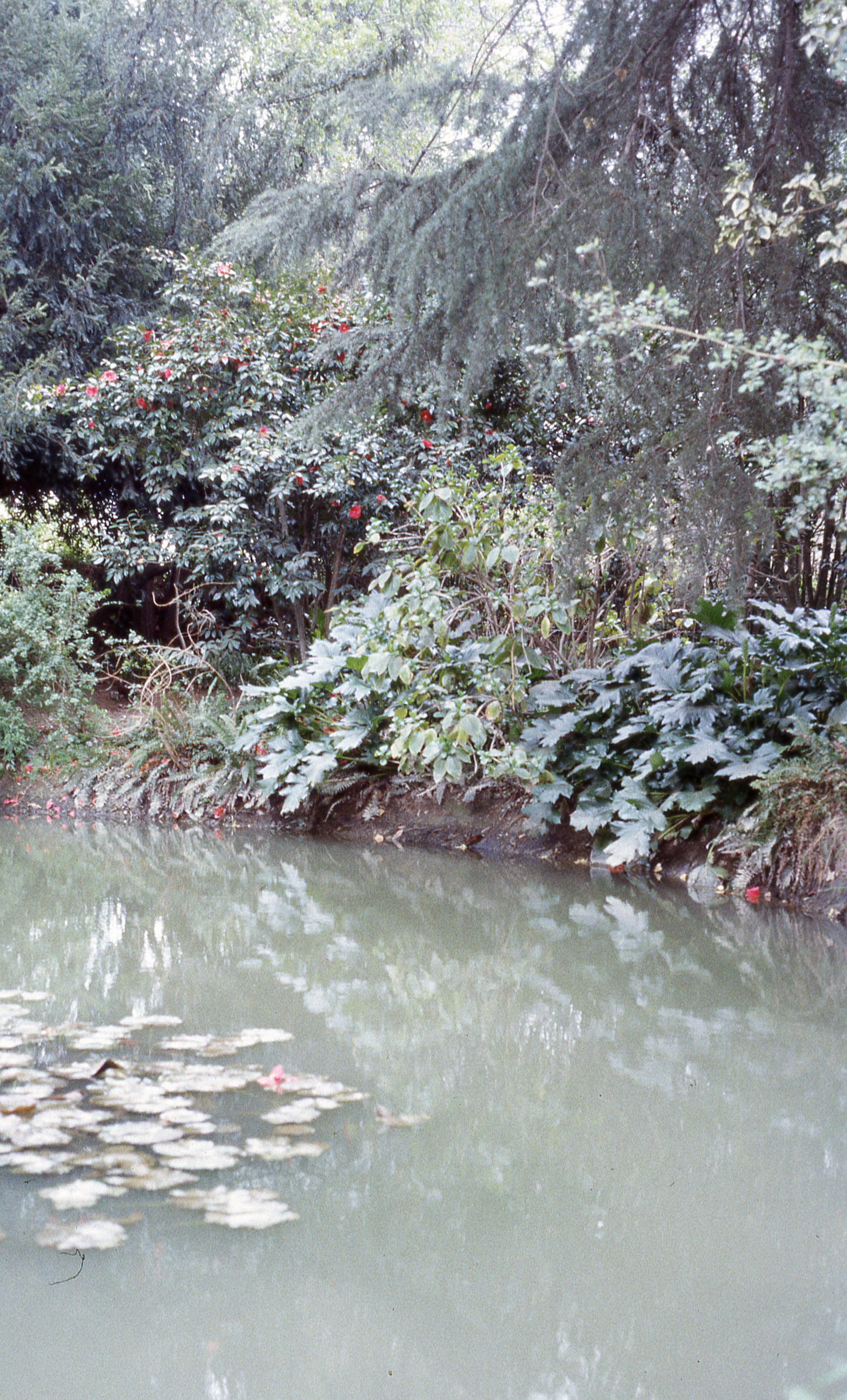 Parque Hacienda Graneros, 1983