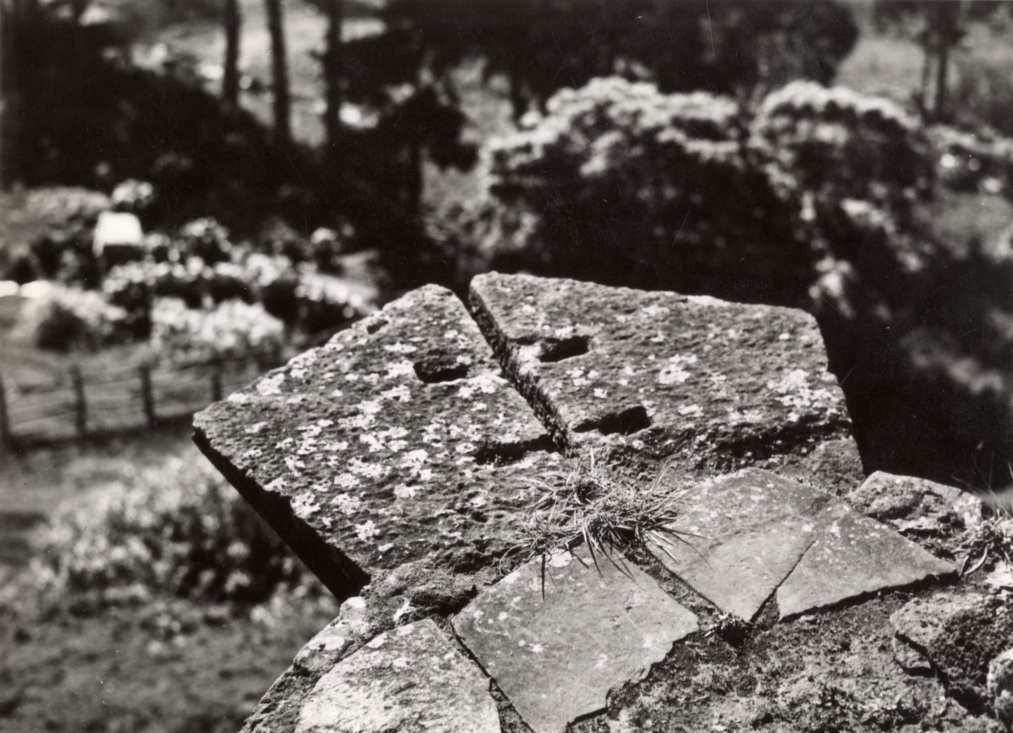 Antigua estatua de piedra, Isla Robinson Crusoe, 1938