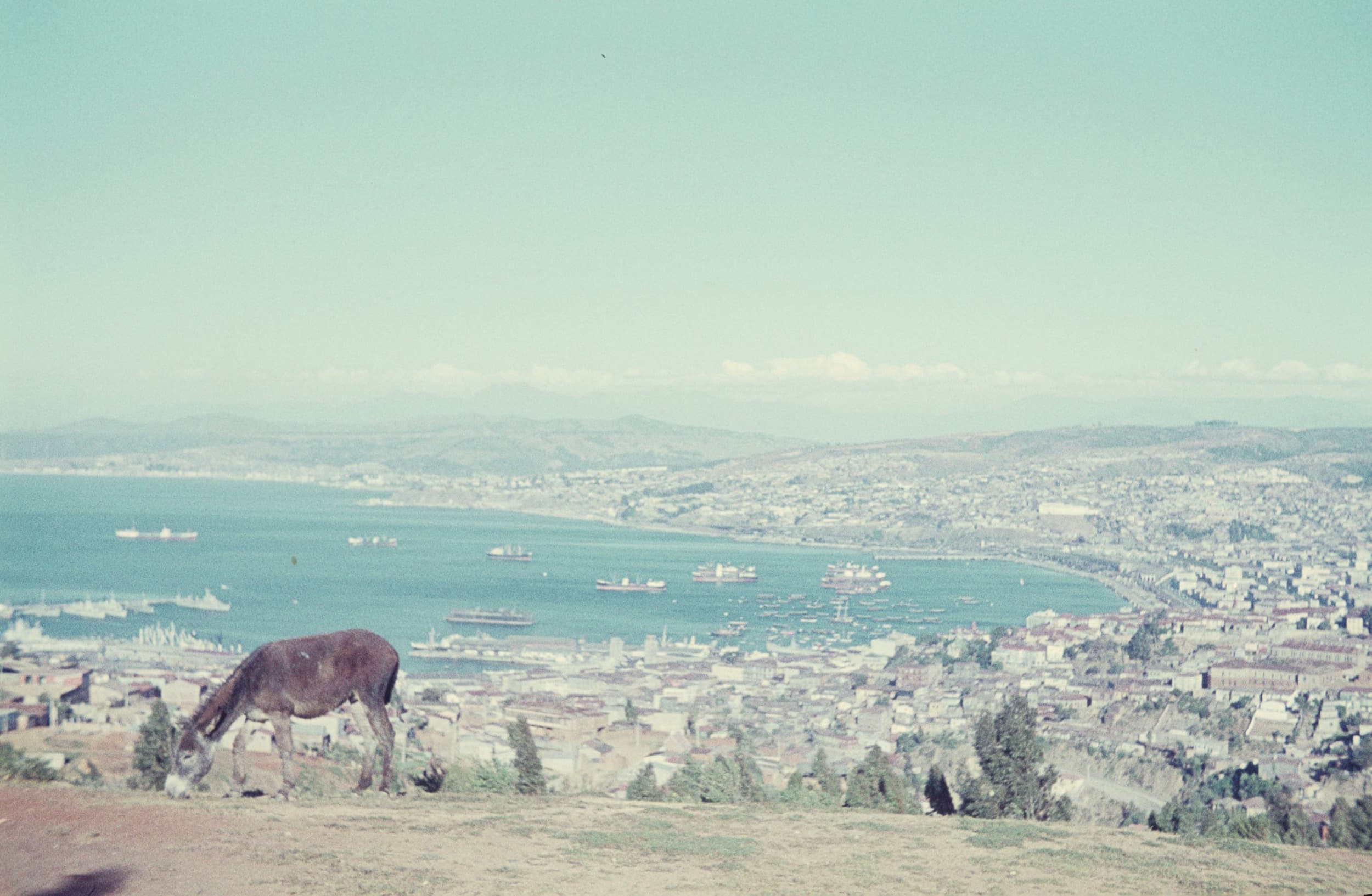 Bahía de Valparaíso, Noviembre de 1960