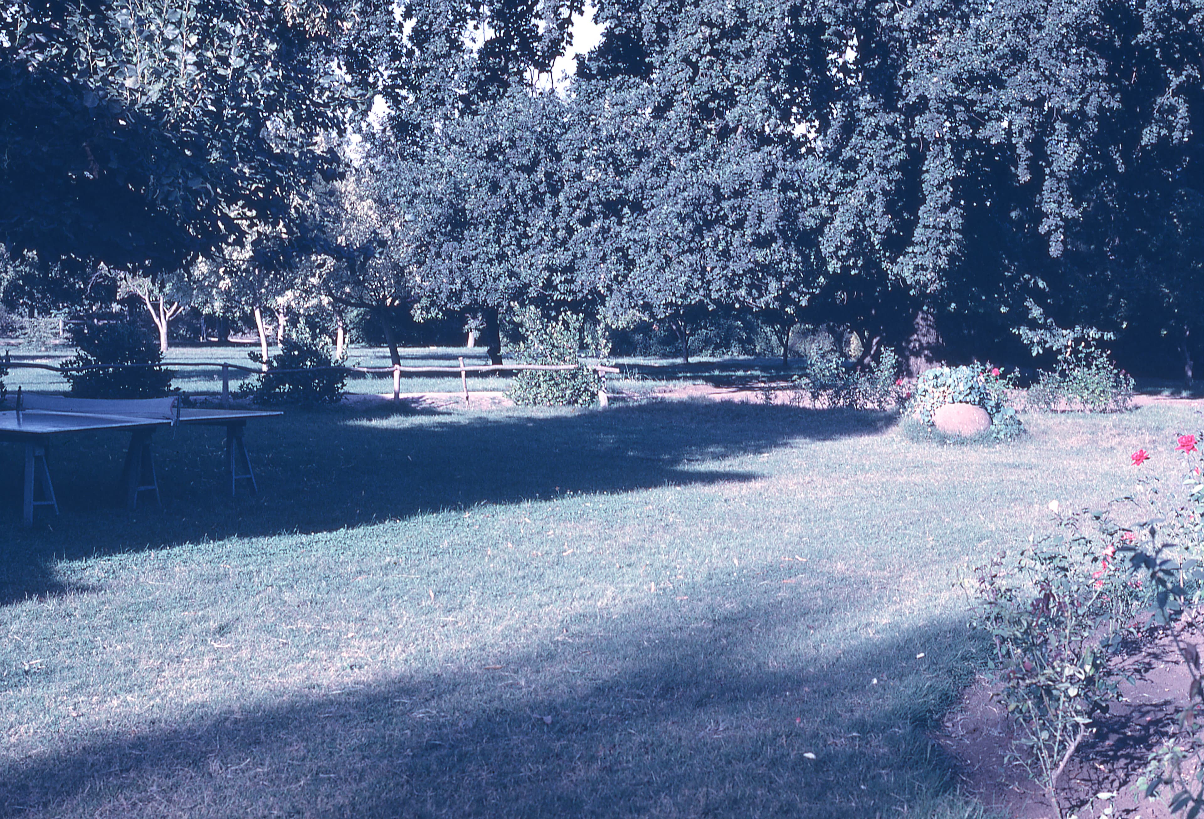 Jardín de campo en 1965