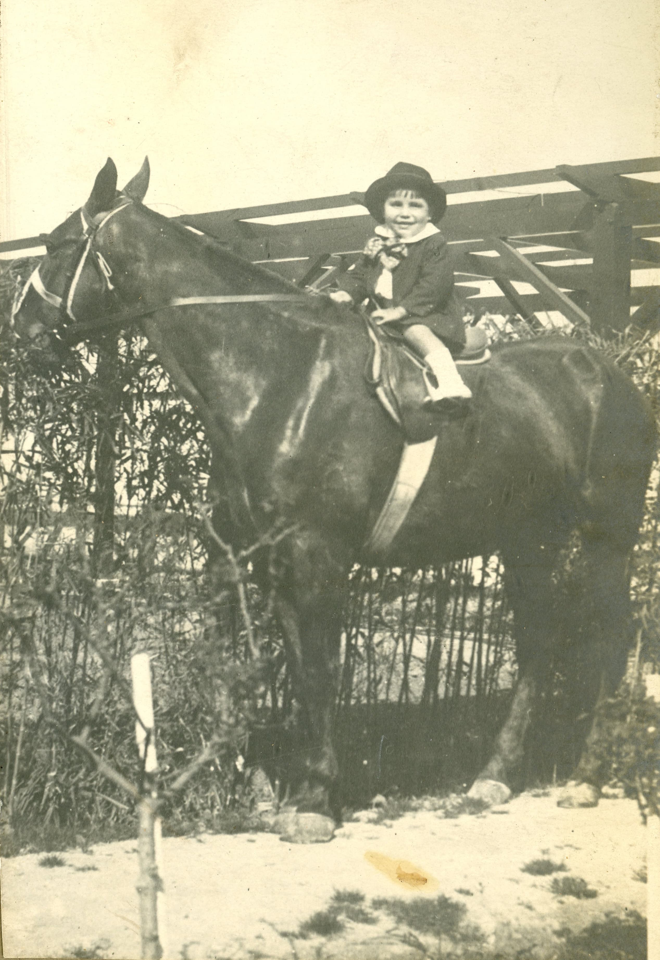 Niño a caballo en Providencia, Miguel Claro 584, año 1919