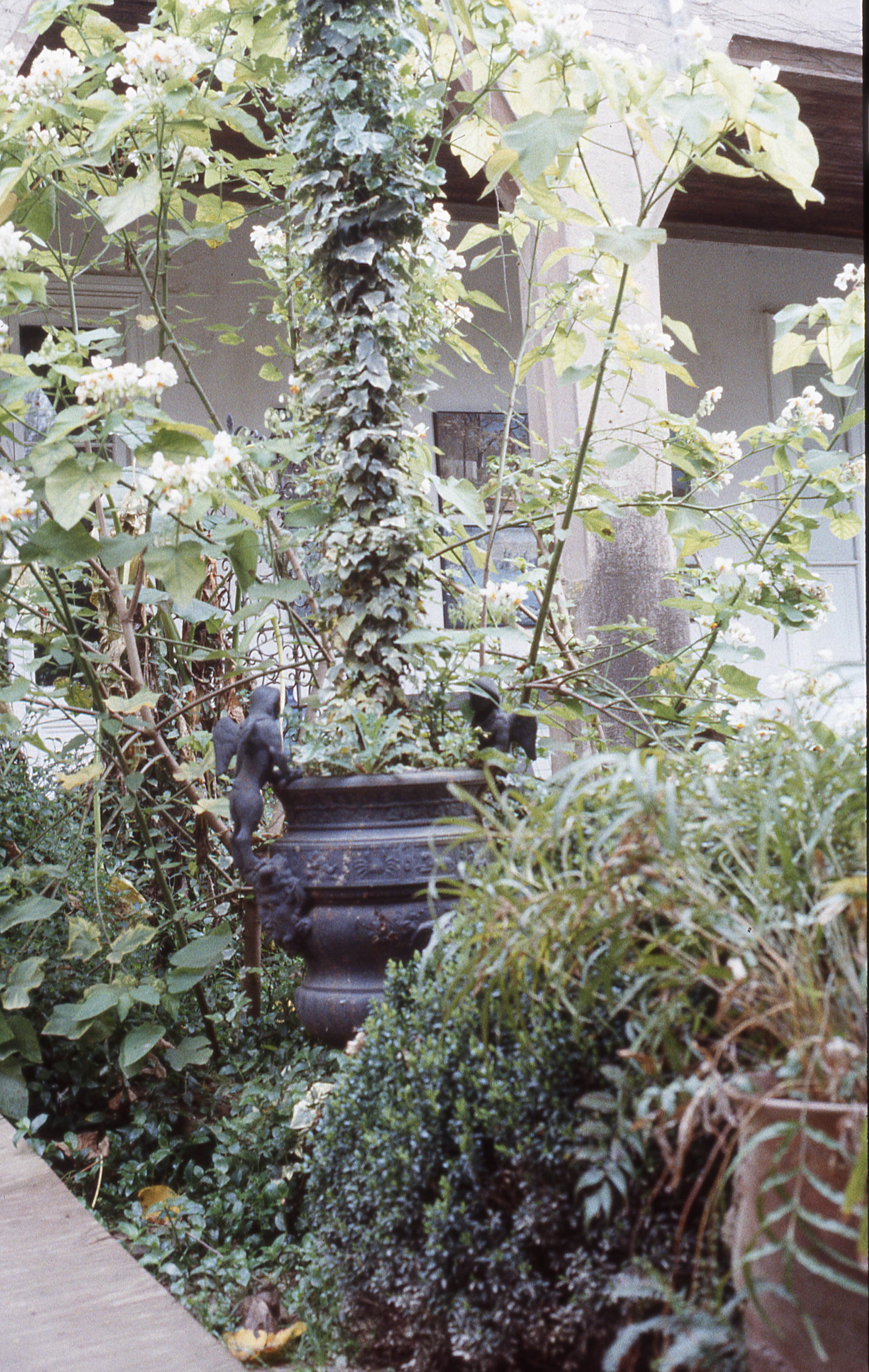 Hacienda Graneros en Graneros, 1983