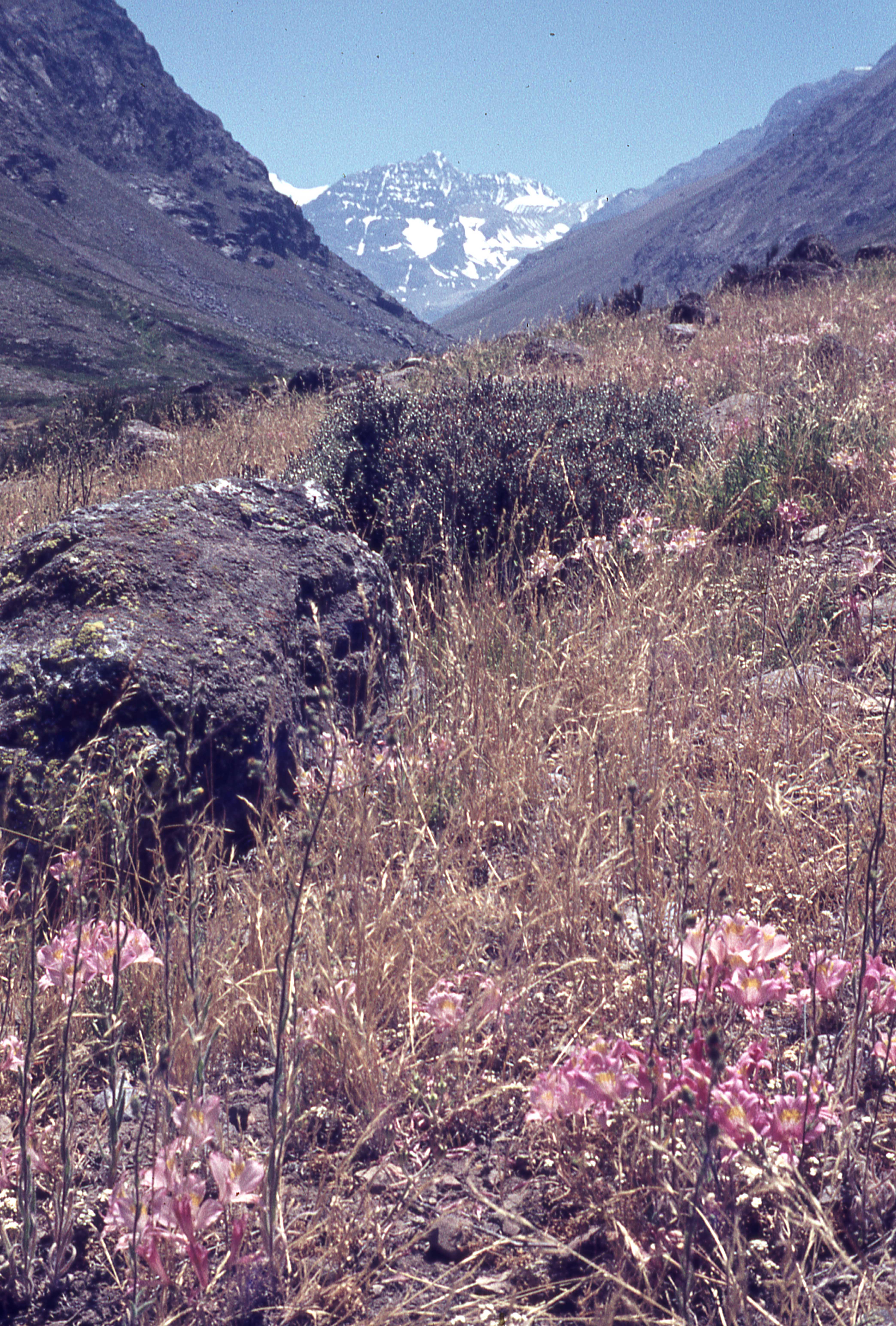 Paseo a La Paloma, 1978